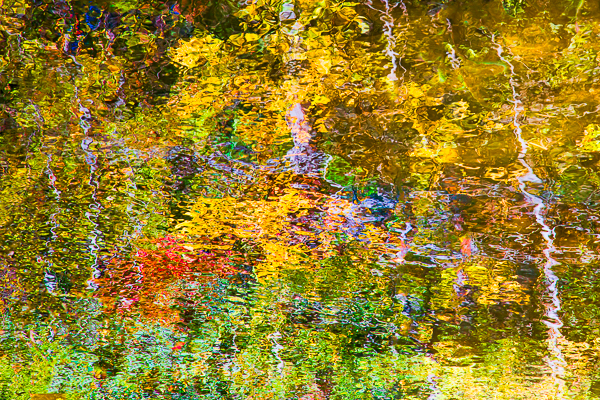 20121010-_89C5708-Edit