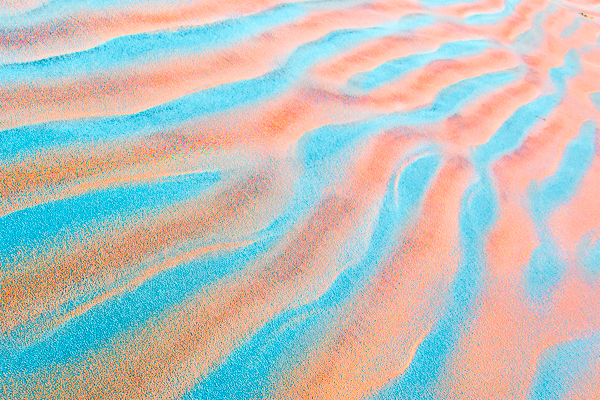 20130131-_89C2092-Edit-Edit
