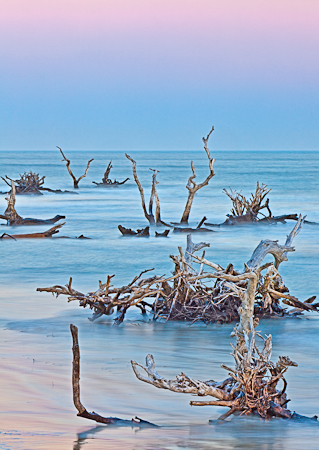 Capers Island Twilight  20110218-_MG_2224-Edit