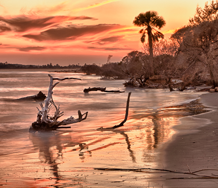 Capers Island Transitions  20110218-_MG_2234_HDR