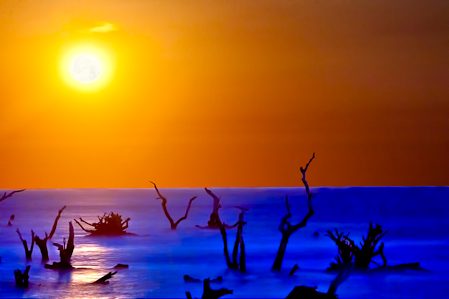 Capers Island Moonlight, South Carolina  20110218-_MG_2258-Edit