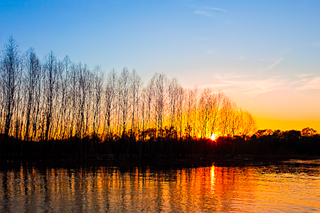 Calhoun County, Congaree Sunset  20110317-_MG_3377-Edit-3