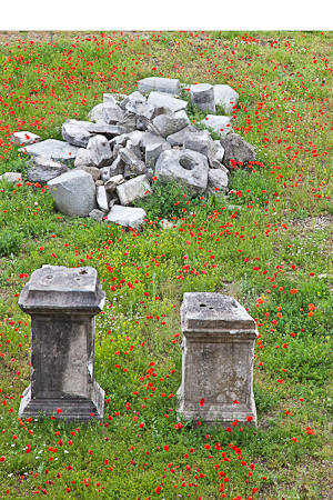 Roman Artifacts  20110517-_MG_6305-Edit-Edit