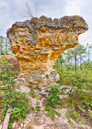 Little Peach Tree Rock, South Carolina  20110715-_MG_0122-Edit-2