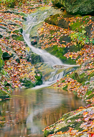 Stoney Fork Jewel  20111012-_MG_2981-Edit-Edit