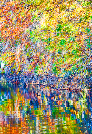 edge  20111027-_MG_4038-Edit