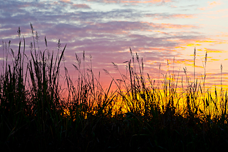   20111027-_MG_4196-Edit