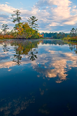 Quinby Creek  20111028-_MG_4325-Edit
