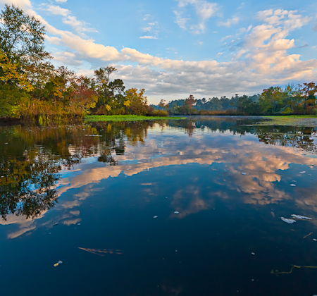 Quinby Creek  20111028-_MG_4341-Edit