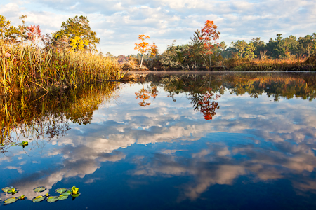 Quinby Creek  20111028-_MG_4369-Edit