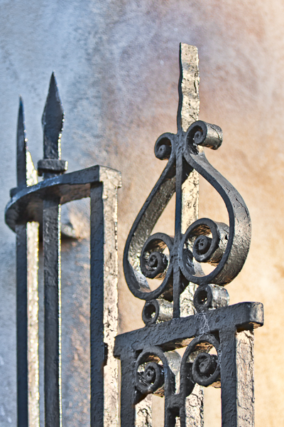 20081209_MG_1746-Edit