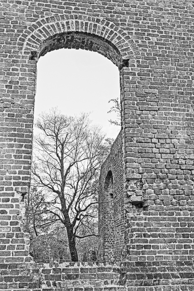 20090305-_MG_9543-Edit