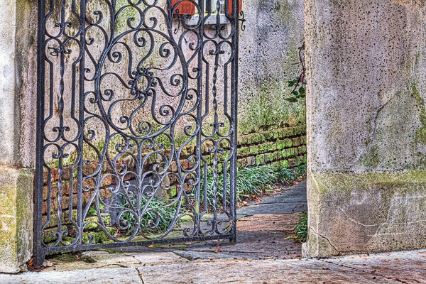 20091112-_MG_8616_7_8