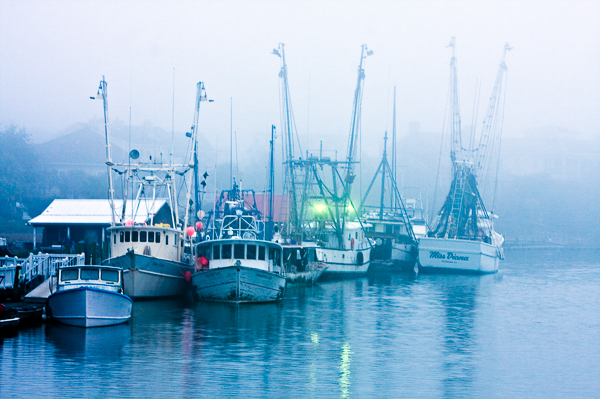 20081211_MG_1904