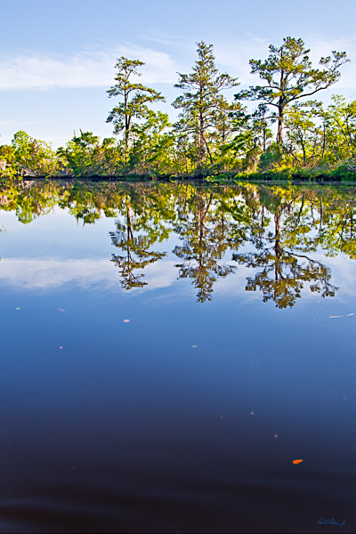 20100429-_MG_9101-Edit