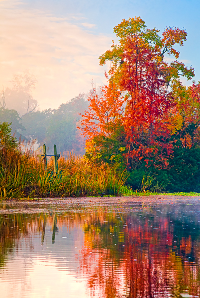 20101122-_MG_0285_6_7_B-Edit-Edit