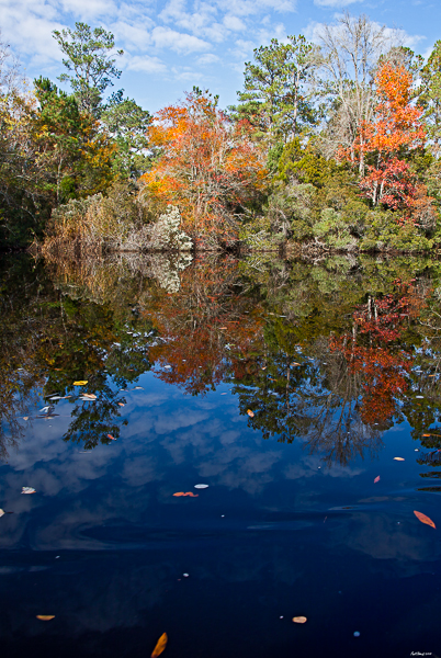 20101122-_MG_0494-Edit