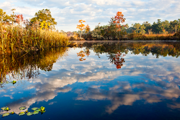 20111028-_MG_4369-Edit