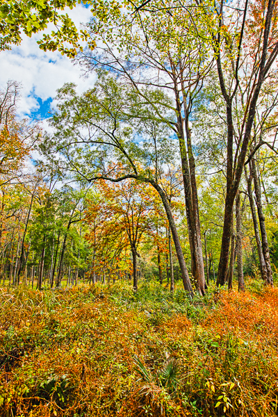 20111028-_MG_4681-Edit