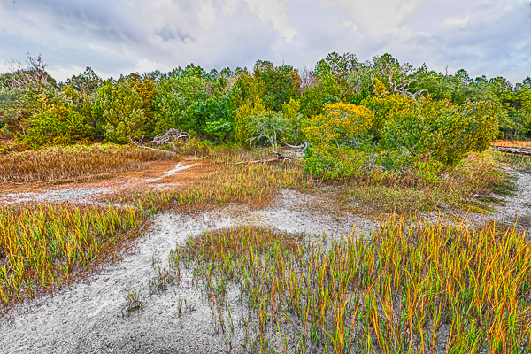 20111206-_MG_5953_HDR_3-Edit