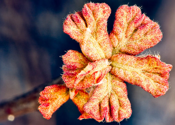 20100327_6671-4-Edit-2