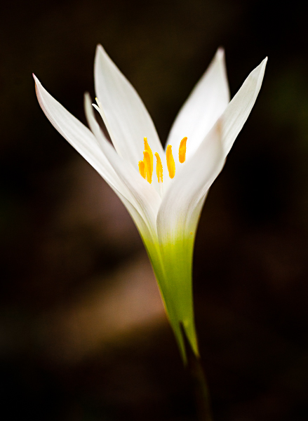 20110409-_MG_4640-Edit