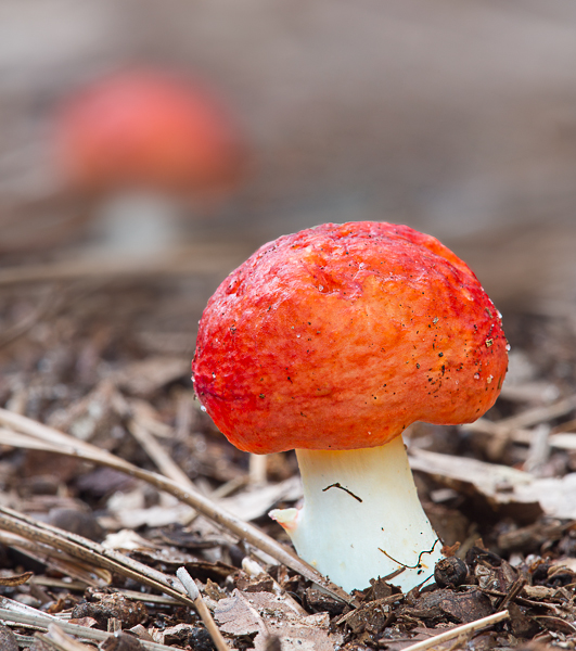 20120810-_89C2041-Edit