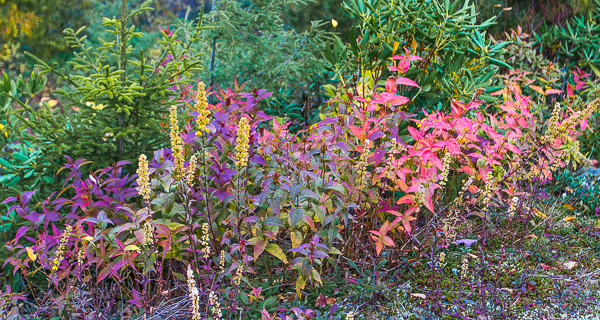 20121012-_89C6271-Edit