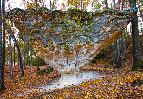 20081127_MG_1349-Edit