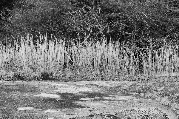 20090320-_MG_0605-Edit