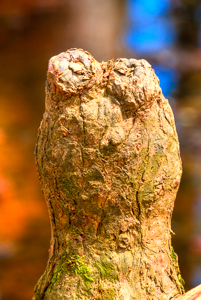 20100330-_MG_5611_2_3