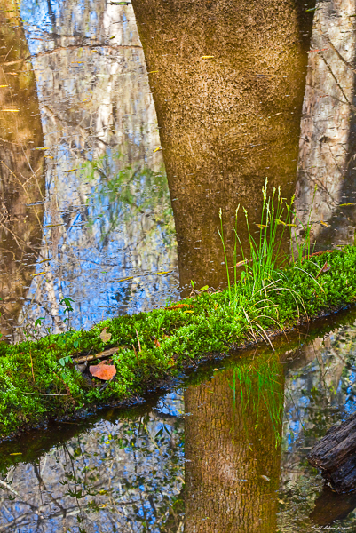 20100331-_MG_6971-Edit