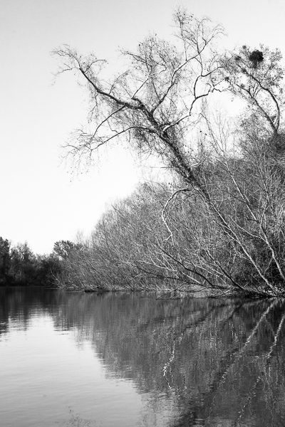 20110317-_MG_3194