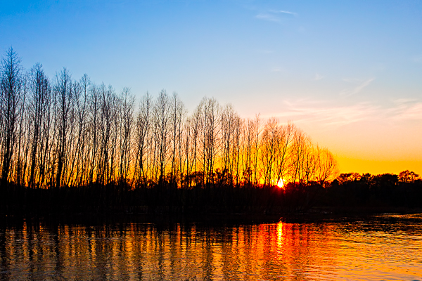 20110317-_MG_3377-Edit-3