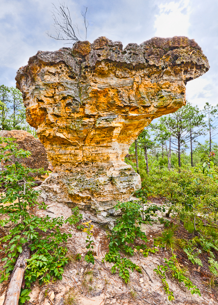 20110715-_MG_0122-Edit-2