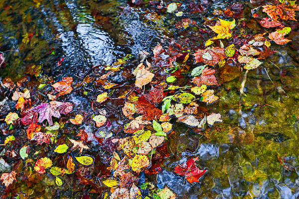 20111103-_MG_4961-Edit