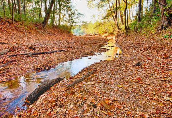 20111103-_MG_4987_HDR-Edit