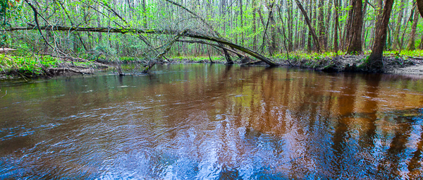 20120321-_MG_8801-Edit-Edit
