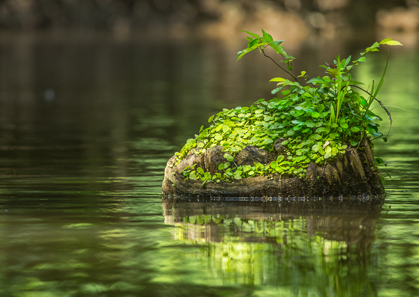 20120511-_89C0393-Edit