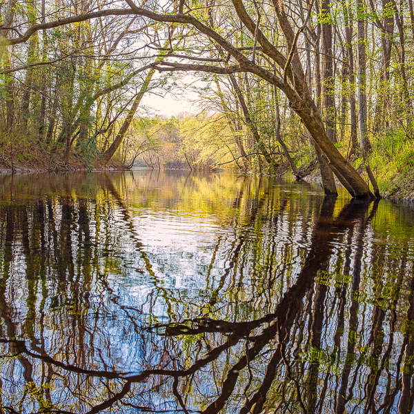20130402-_89C0329-Edit