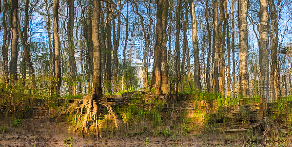 20130402-_89C0382-Edit