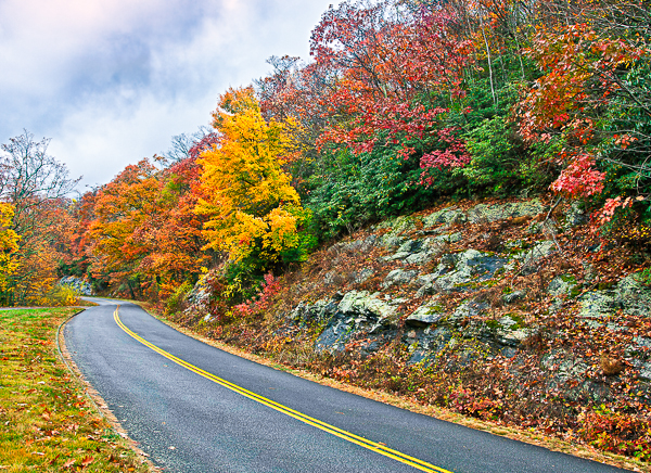 20101027-_MG_1378-Edit