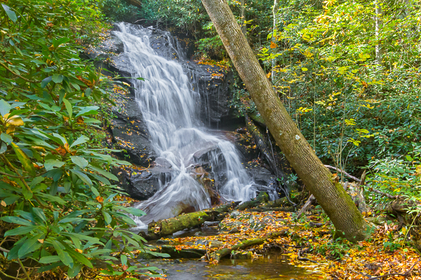 20121011-_89C6025-Edit