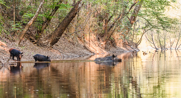 20120330-_MG_5983-Edit
