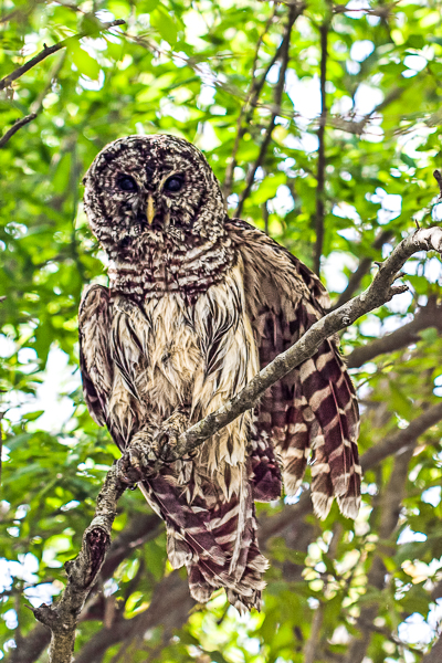 20120330-_MG_6201-Edit